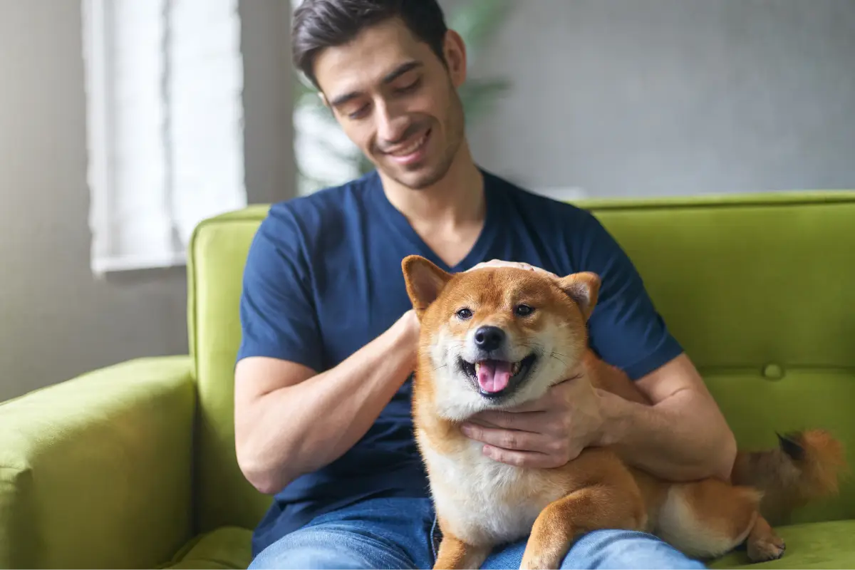 Why Pet-Friendly Rentals Are a Smart Investment in Houston